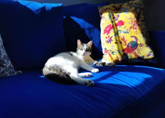 Chez Les Stephs Accommodatie bij particulieren